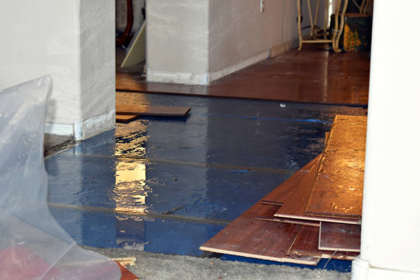 Professional Water Damage technician working in Pipersville, PA